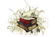 Skull, an Object Graphic by ArtOwl (Thumbnail 9 of 10)
