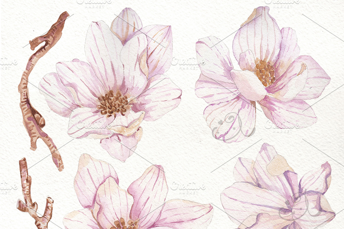 Beautiful flowers of magnolia, feath, an Illustration by JaneLane (Photo 2 of 4)