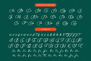 Uniquely Vifanite Bold Calligraphy, a Script Font by Letterena Studios Script (Thumbnail 12 of 20)