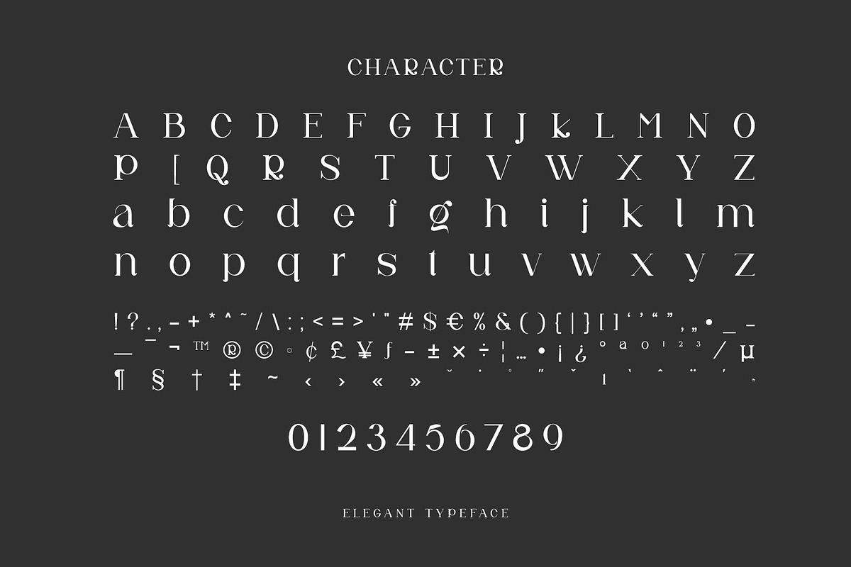 Neuva Ligature Serif Typeface, a Serif Font by yaqublekker (Photo 9 of 10)