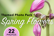 Floral Botanical Background Images, a Background Photo by kristiangallagher (Thumbnail 1 of 5)
