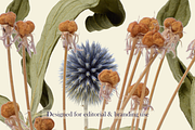 Airy Grassland — Soft Meadow Forms, an Object Graphic by Aga Silva (Thumbnail 4 of 4)