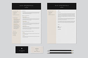 Resume / CV - Quint, a Resume Template by 3Angle (Thumbnail 2 of 5)