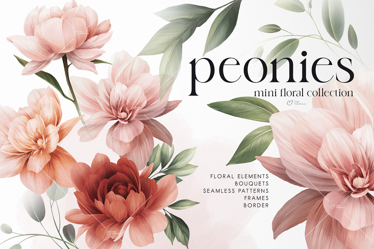 Peonies - floral collection, an Illustration by ollalya (Photo 1 of 7)