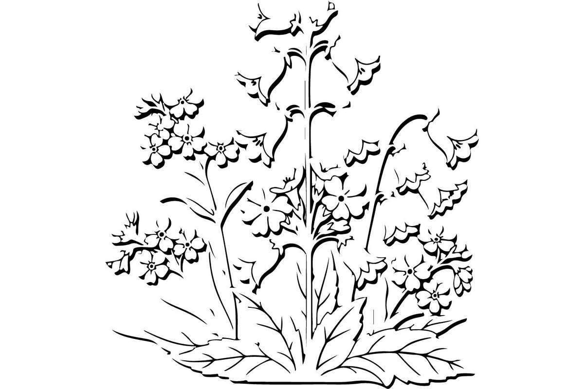 Vintage Botanical Flower Vector Set, an Object Illustration by Designer_Momina (Photo 9 of 26)