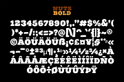 Nuts Bold – Bold Serif Typeface, a Serif Font by overlaytemplates (Thumbnail 5 of 5)