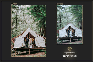 Earth Tones - PS ACR Presets