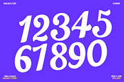 Flonday Script, a Script Font by Madjack.font (Thumbnail 13 of 14)