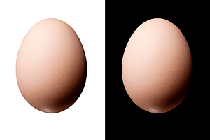 Isolated Eggs, a Food & Drink Photo by THP Creative