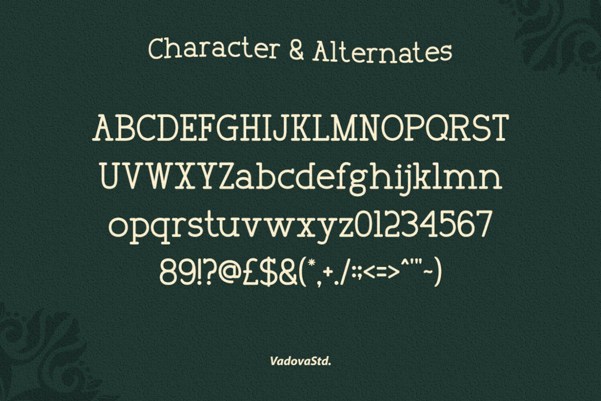 Fogakie – Old Serif Typeface, a Serif Font by Vadovastd (Photo 2 of 11)
