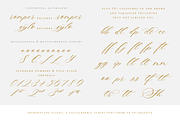 Slight, A Calligraphy Font, a Script Font by Up Up Creative (Thumbnail 5 of 8)