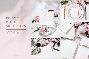 170 Gorgeous Mockups Bundle