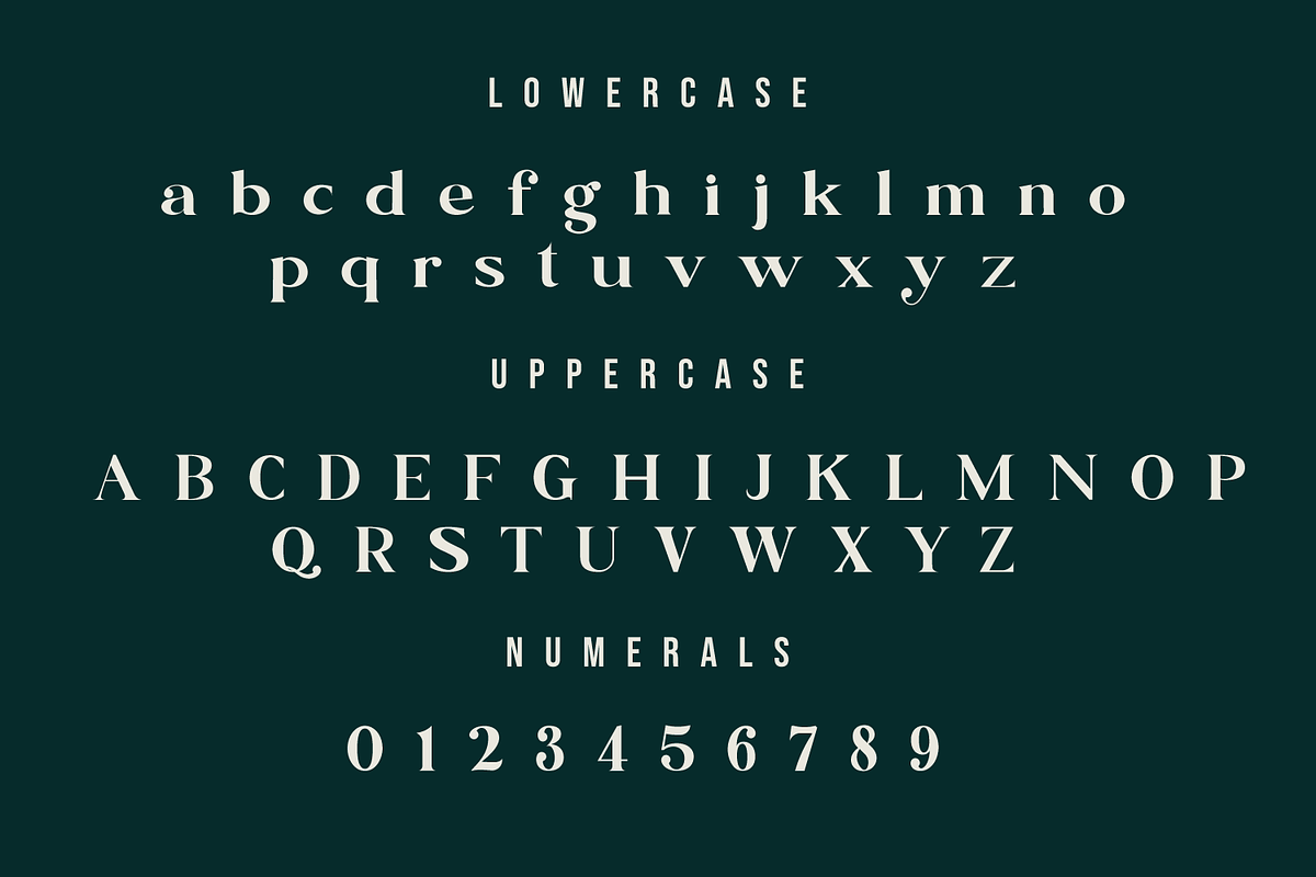 Blue Village – Modern / Vintage Font, a Serif Font by Issam Type (Photo 9 of 12)