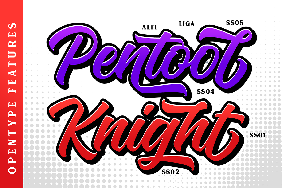 Srabi Script, a Script Font by hastatypestd (Photo 2 of 10)