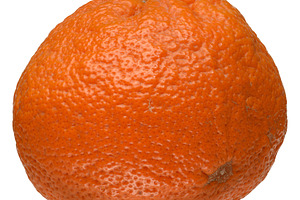 Ripe tangerine in peel on white isolated background, a Food & Drink Photo by ndanko