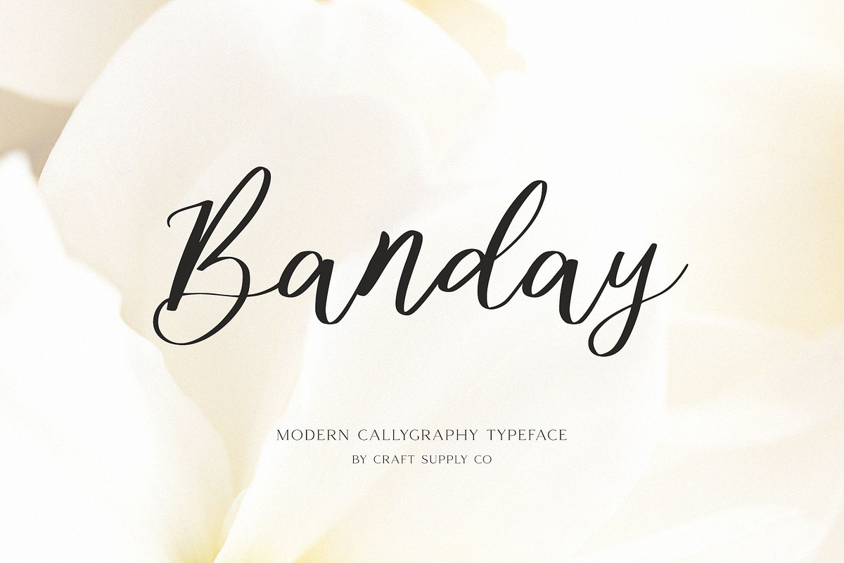 Thanksgiving Font Bundle, a Script Font by Craft Supply Co. (Photo 2 of 11)