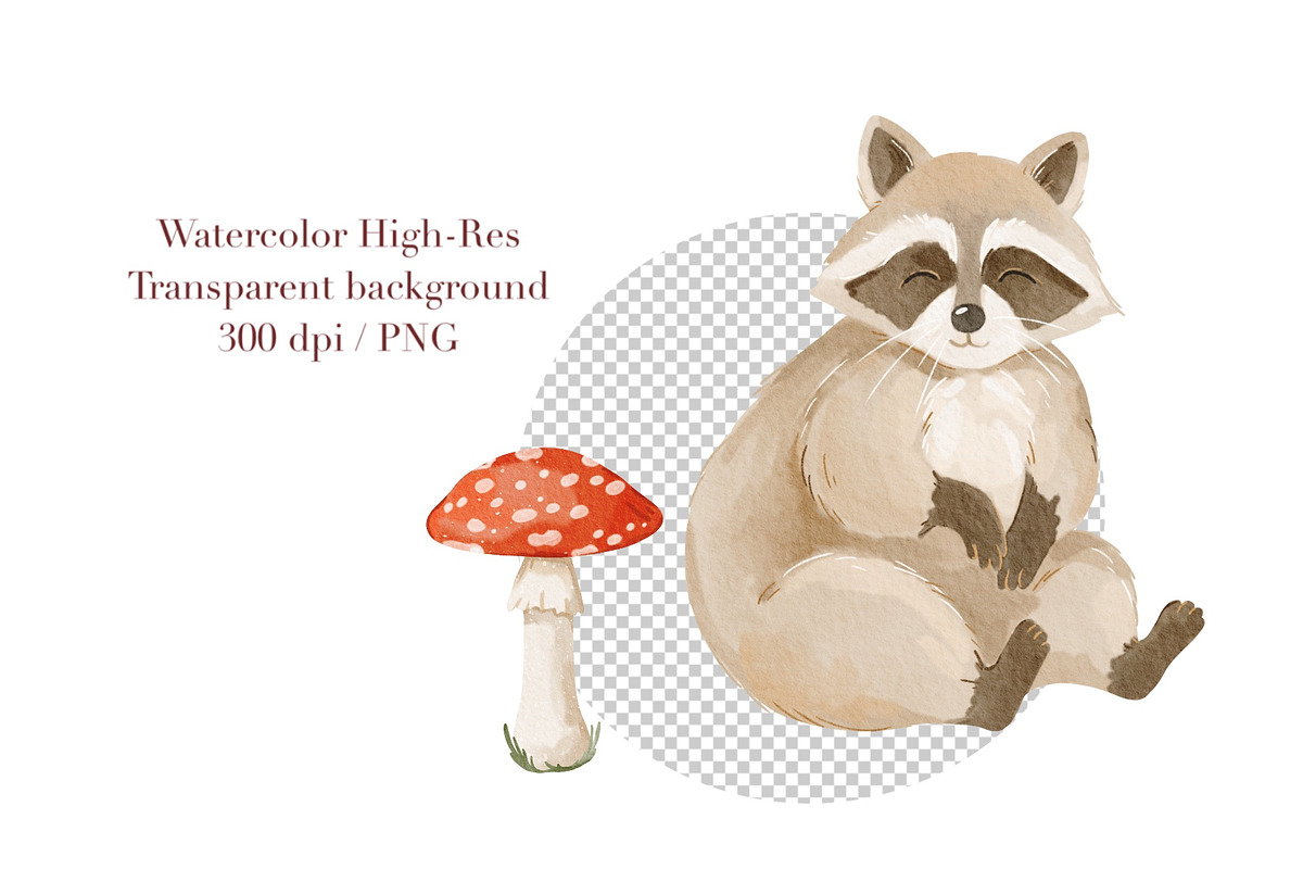 Watercolor Raccoon Clipart PNG, an Animal Illustration by ArtGiftsStudio (Photo 5 of 5)
