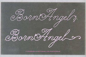 Born Angel // Font Family, a Handwritten Font by PeachCreme