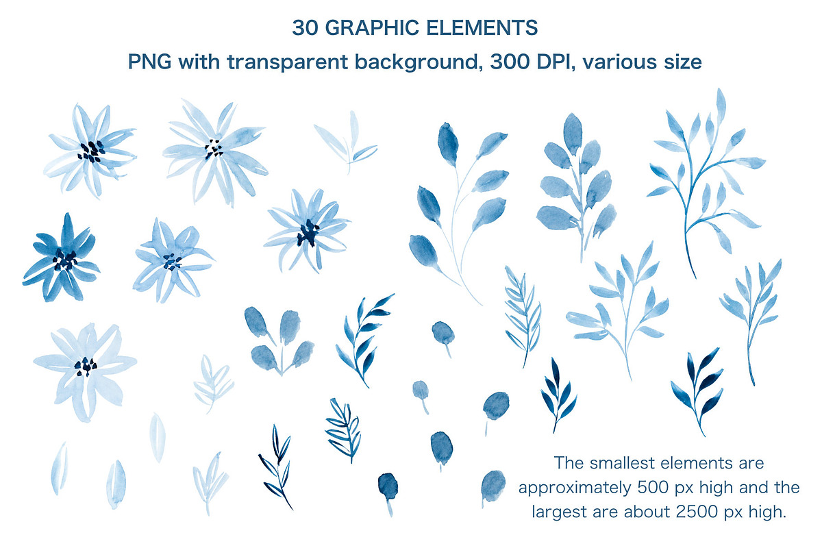 Blue watercolor floral collection, a Pattern Graphic by Wild Rose (Photo 3 of 8)