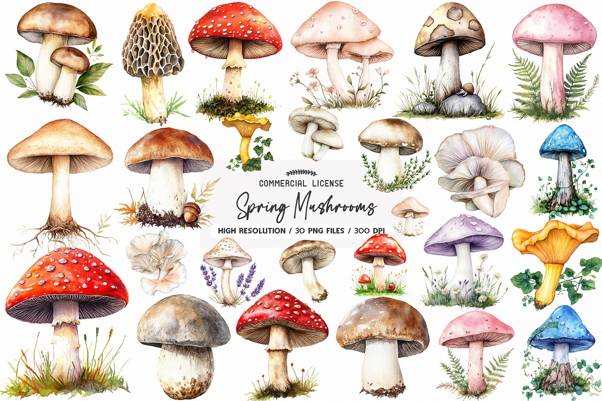 Rustic Spring Mushrooms Clipart, an Illustration by SinaCreation (Photo 1 of 5)