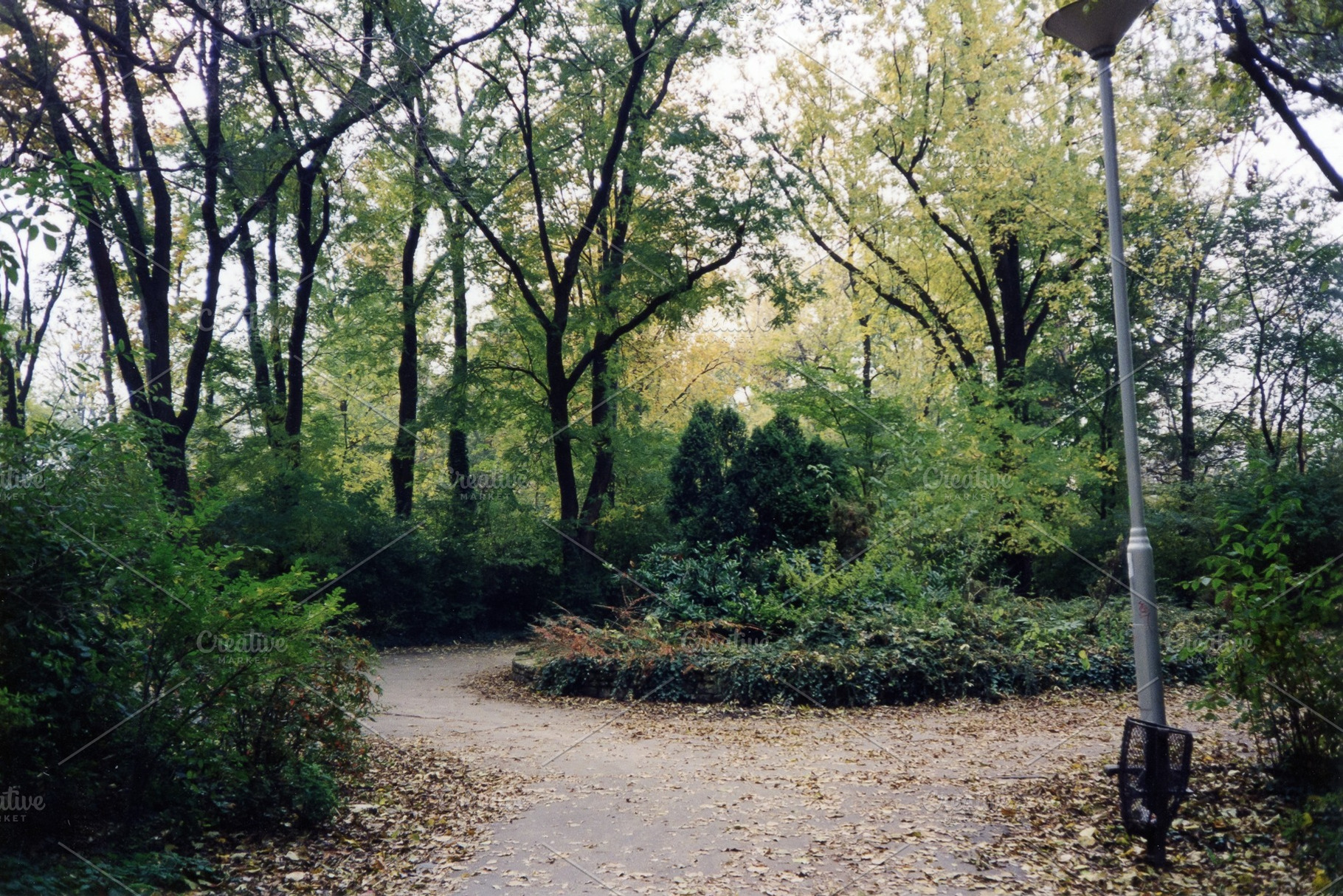 grove in a park on the Margaret Island in Budapest, a Photo by WorldOfPhotos