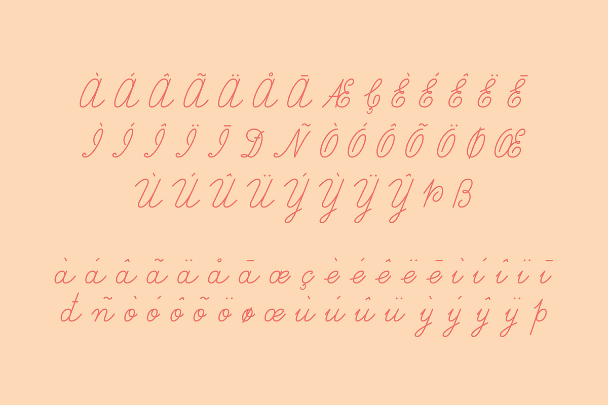 Fribois Monoline Script, a Script Font by Bart Wesolek (Photo 5 of 7)