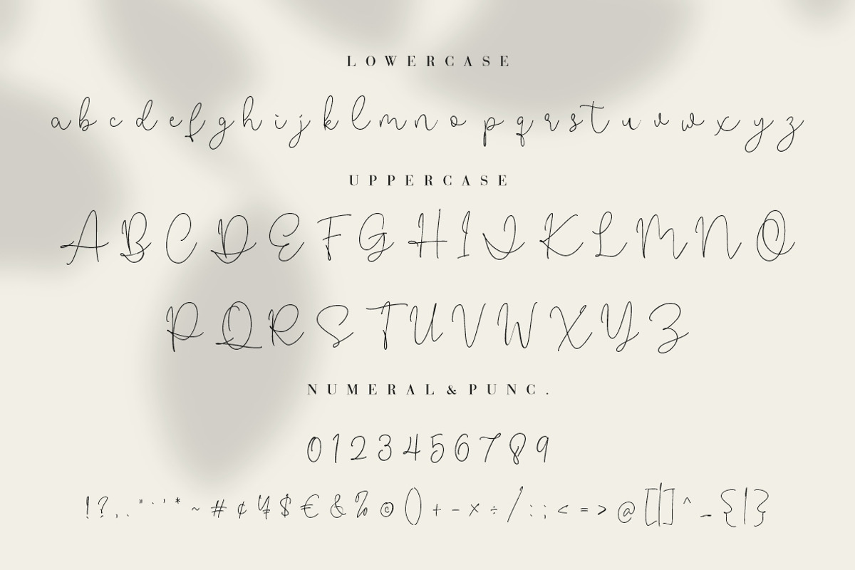 Rattiar Signature Script, a Script Font by Creatype Studio (Photo 8 of 9)
