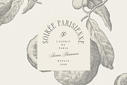 Alizee - Classy Hybrid Serif, a Serif Font by Harmonais Visual (Thumbnail 12 of 29)