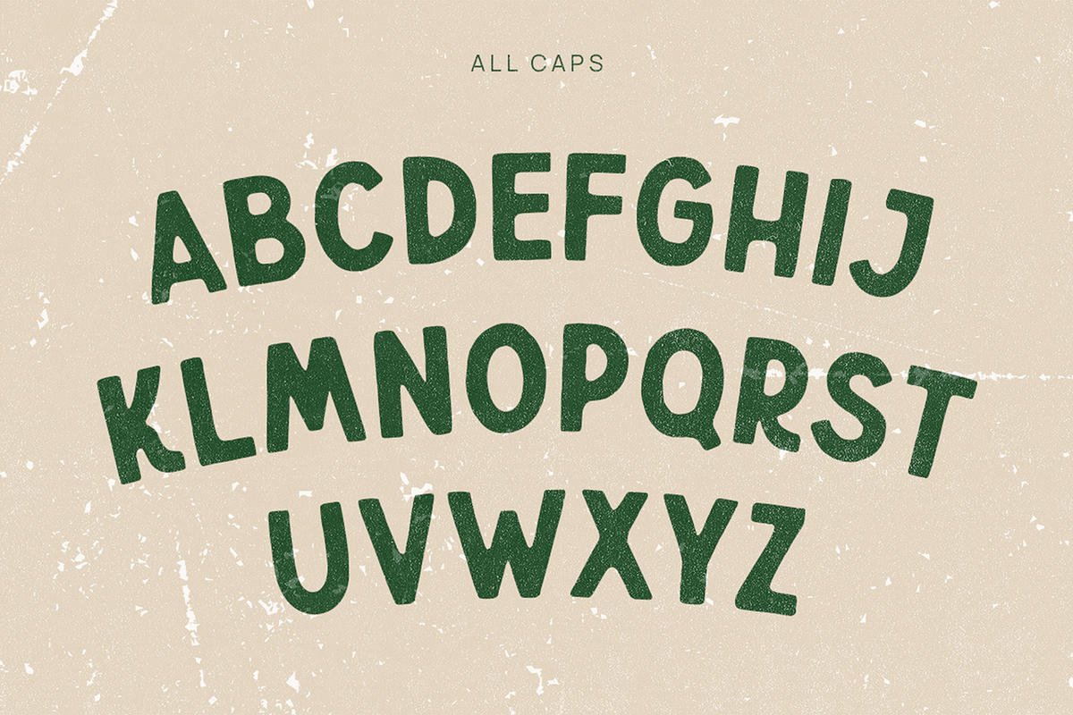 Wildboar - Vintage Display Font, a Sans Serif Font by Pekotype (Photo 3 of 15)