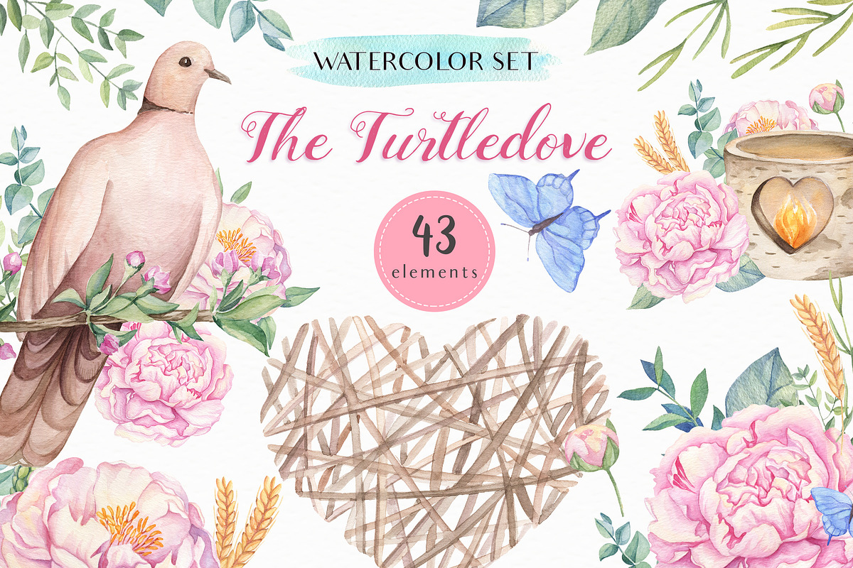 The Turtledove-Watercolor Set, an Illustration by Irina Diasli (Photo 1 of 6)