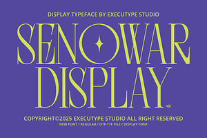 Senowar Display, a Sans Serif Font by executypeStudio