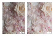 Photoshop Actions - Natural Indoors preview 2
