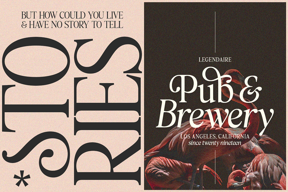 Bethany Elingston, a Serif Font by Attract Studio (Photo 17 of 17)
