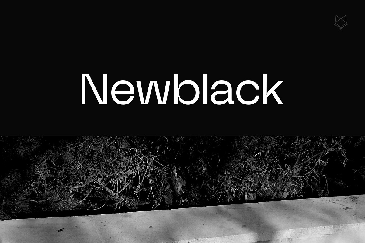 NewBlack Typeface, a Sans Serif Font by Foxtype (Photo 1 of 6)