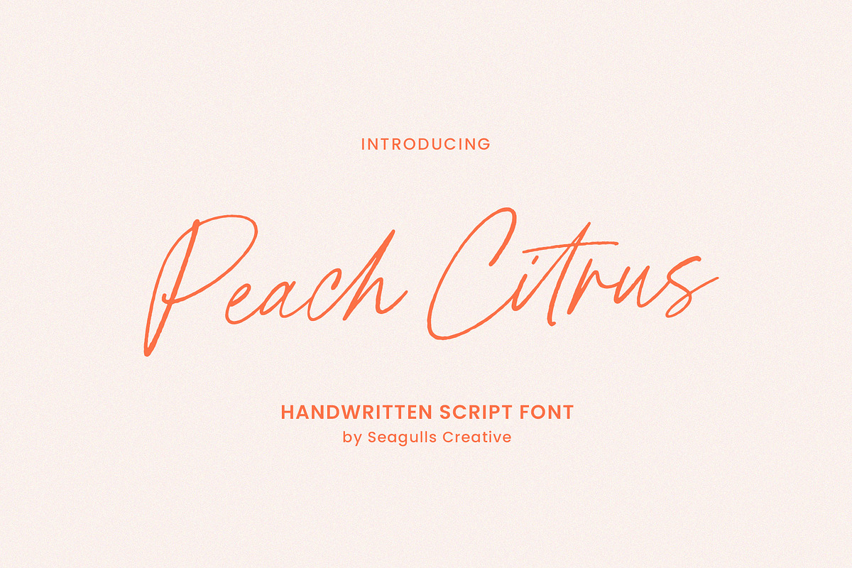 Peach Citrus Handwritten Script, a Script Font by Seagulls Creative (Photo 1 of 11)
