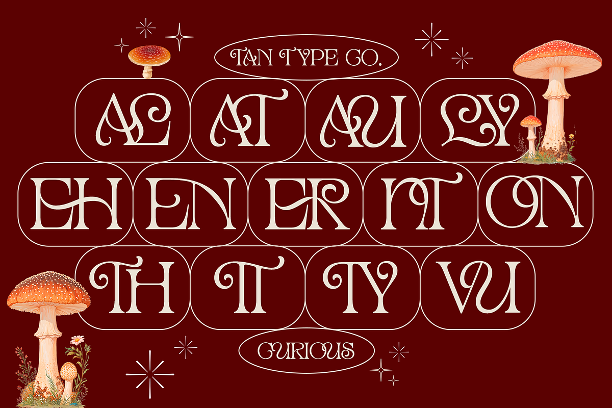TAN - CURIOUS, a Serif Font by TanType (Photo 11 of 11)