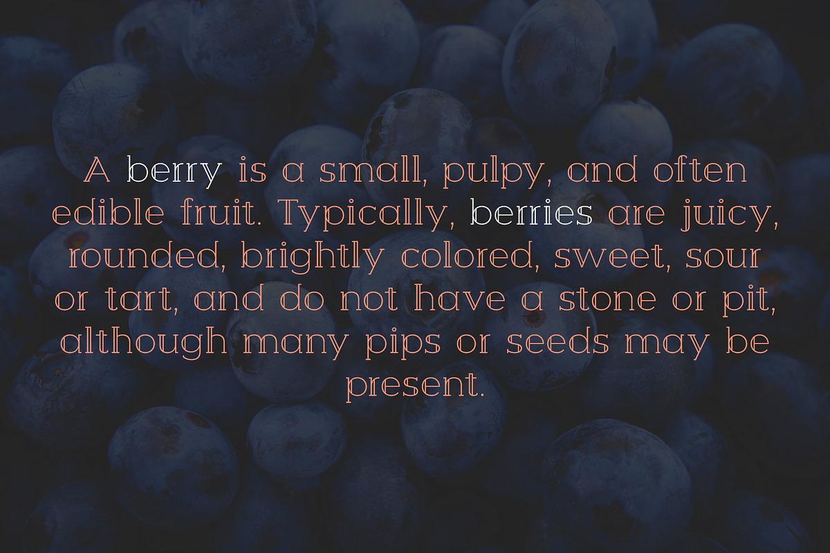 Berry Slab Serif Font preview 5