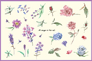 Lavender & Rose Clipart Set, a Seasonal Illustration by VianneArt (Thumbnail 2 of 4)