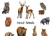 Forest animals watercolor clip art, an Animal Illustration by SandraGraphicDesign (Thumbnail 2 of 5)