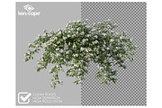 72 Assorted Flowers Photo Overlays, a Nature Photo by KenScape (Thumbnail 2 of 3)