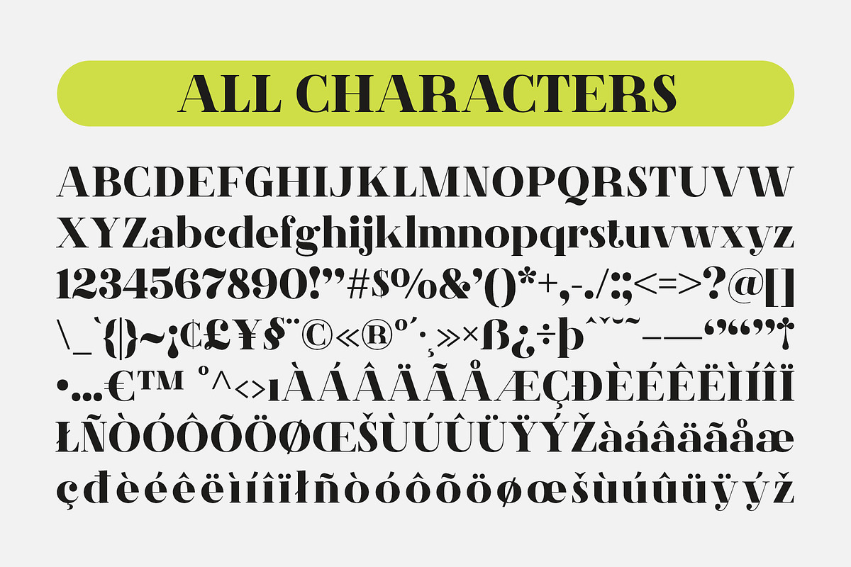CS Agnes – Serif Font, a Serif Font by Craft Supply Co. (Photo 8 of 8)