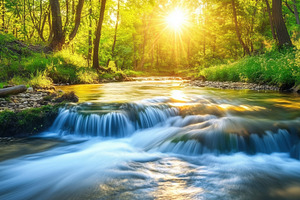A serene landscape featuring a gentle stream flowing through a lush green fores, a Photo by Textures & Backgrounds