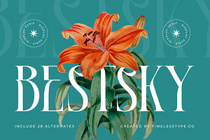 Bestsky Display Serif Font