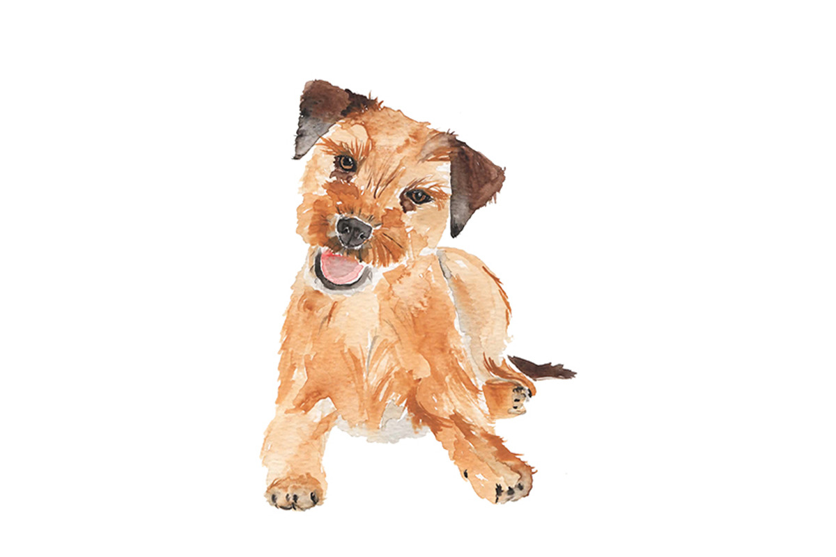 Watercolor Dog Cute Border Terrier, an Illustration by Foxery Digital