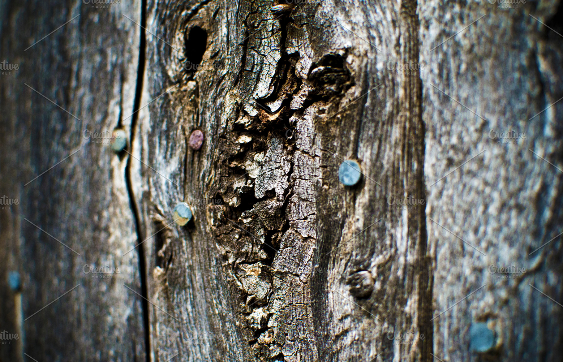 Old Fence Wood, an Abstract Photo by Joshua C. Carroll