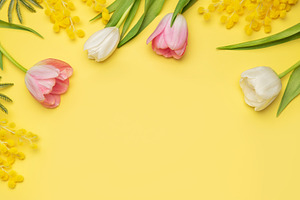 Pink and white tulips and mimosa flowers creating a border on ye, a Photo by Olena Rudo