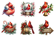 Watercolor Red Cardinal Clipart PNG, an Icon by SinaCreation (Thumbnail 5 of 7)