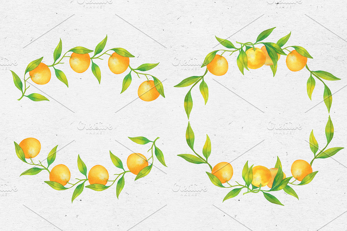 Tangerines. Watercolor collection, a Decorative Illustration by Maria's little shop (Photo 5 of 11)