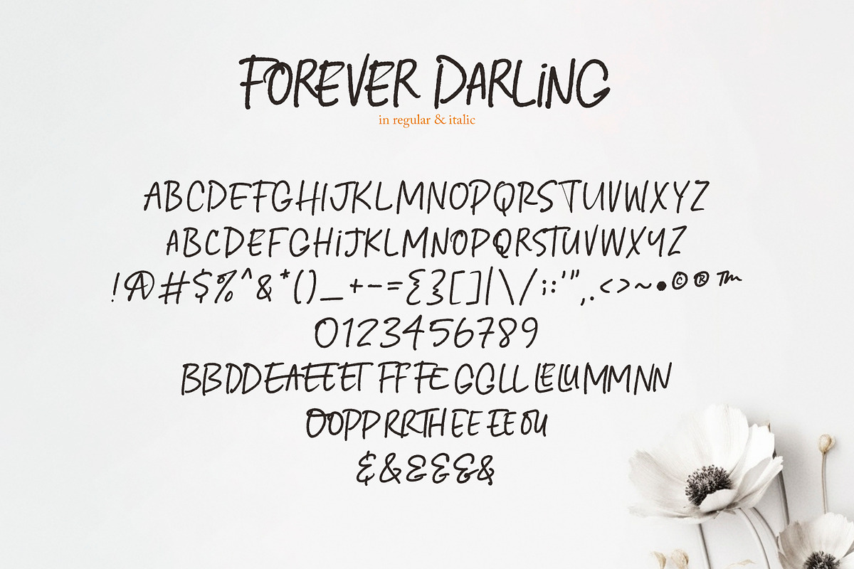 Forever Darling Handwriting Type, a Font by Callie Rian & Co. (Photo 6 of 9)