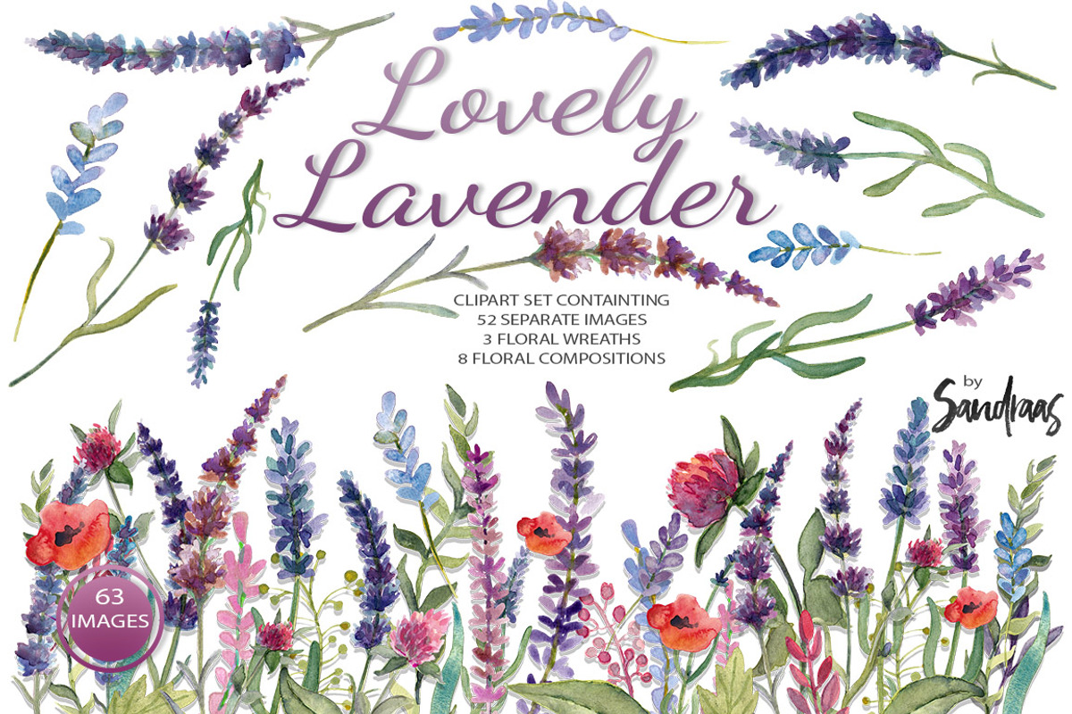 Watercolor lavender clip art, an Illustration by SandraGraphicDesign (Photo 1 of 5)
